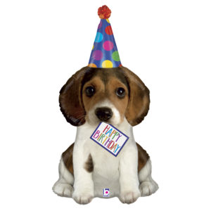 Ballons et hélium, ballons aluminium, ballons anniversaire, chien
