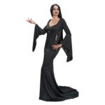 ACCESSOIRES DE FETE-DEGUISEMENTS-DEGUISEMENT MERCREDI-DEGUISEMENT MERCREDI ADDAMS-DEGUISEMENT MORTICIA