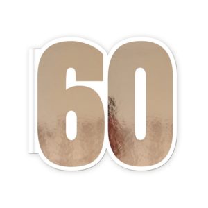 ANNIVERSAIREADULTE-60ANS-LIVREDOR-ROSEGOLD