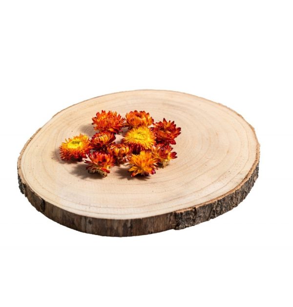 ARTICLES DE FETE-DECORATION FLORALE-DECORATION DE TABLE-TETE D'HELICHRYSUM ORANGE