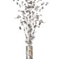 ARTICLES DE FETE-PETIT CANON A CONFETTIS-BOUTEILLE CANON CONFETTIS ARGENT