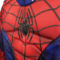 DEGUISEMENTS-LICENCEENFANT-SPIDERMAN-LUXE-BUSTE