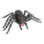 FETESETOCCASIONS-HALLOWEEN-INSECTES-ARAIGNEENOIREGM