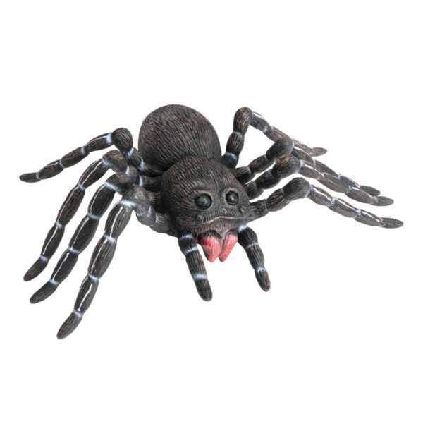 FETESETOCCASIONS-HALLOWEEN-INSECTES-ARAIGNEENOIREGM