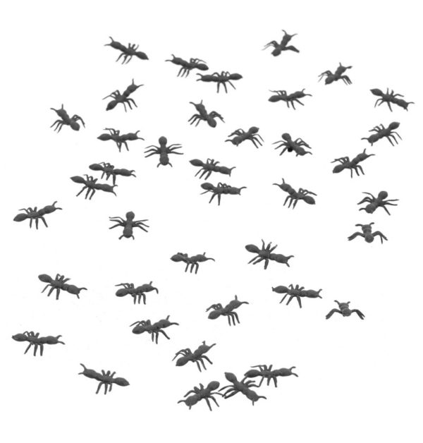 FETESETOCCASIONS-HALLOWEEN-INSECTES-FOURMIS