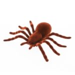 FETESETOCCASIONS-HALLOWEEN-INSECTESDHALLOWEEN-ARAIGNEE-BRUNE