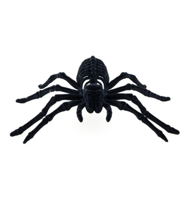 FETESETOCCASIONS-HALLOWEEN-INSECTESDHALLOWEEN-ARAIGNEE-SQUELETTE