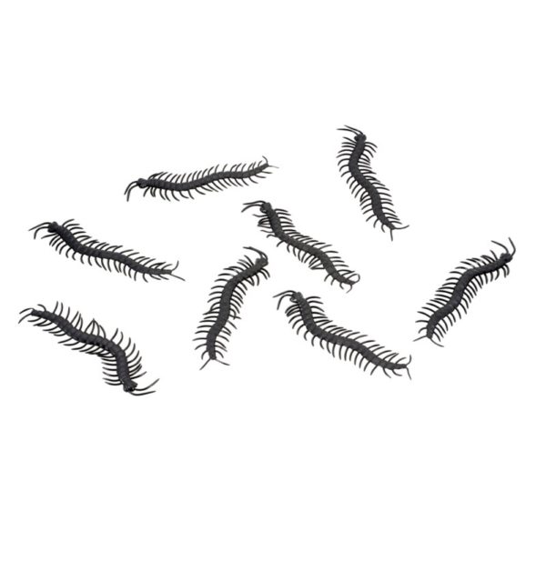 FETESETOCCASIONS-HALLOWEEN-INSECTESDHALLOWEEN-MILLESPATTES