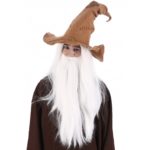 FETESETOCCASIONS-HALLOWEEN-ACCESSOIRESCHEVEUX-CHAPEAUX-MAGICIEN-SORCIER