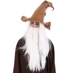 FETESETOCCASIONS-HALLOWEEN-ACCESSOIRESCHEVEUX-CHAPEAUX-MAGICIEN-SORCIER