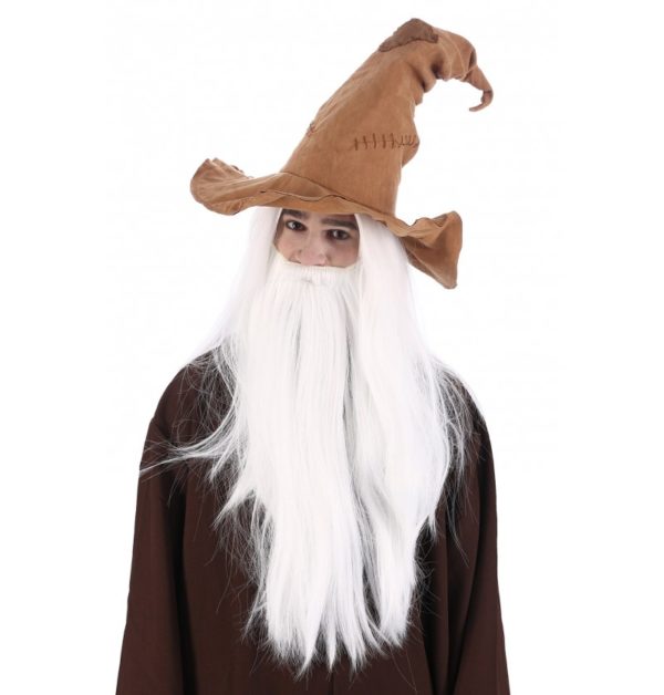 FETESETOCCASIONS-HALLOWEEN-ACCESSOIRESCHEVEUX-CHAPEAUX-MAGICIEN-SORCIER