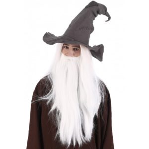 FETESETOCCASIONS-HALLOWEEN-ACCESSOIRESCHEVEUX-CHAPEAUX-MAGICIEN-SORCIER-GRIS