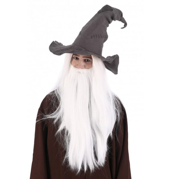 FETESETOCCASIONS-HALLOWEEN-ACCESSOIRESCHEVEUX-CHAPEAUX-MAGICIEN-SORCIER-GRIS