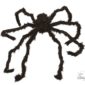 FETESETOCCASIONS-HALLOWEEN-INSECTES-ARAIGNEES-GEANTE