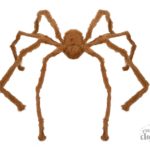 FETESETOCCASIONS-HALLOWEEN-INSECTES-ARAIGNEES-GEANTE-MARRON