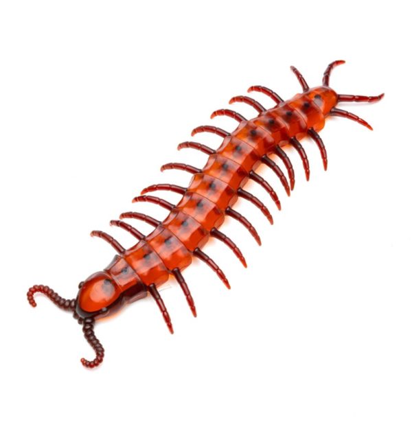 FETESETOCCASIONS-HALLOWEEN-INSECTES-CENTIPEDE-GEANT