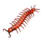 FETESETOCCASIONS-HALLOWEEN-INSECTES-CENTIPEDE-GEANT