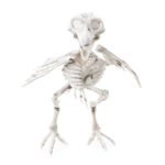 FETESETOCCASIONS-HALLOWEEN-INSECTESHALLOWEEN-CORBEAU-SQUELETTE