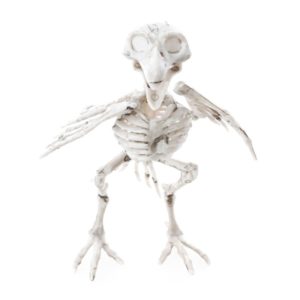 FETESETOCCASIONS-HALLOWEEN-INSECTESHALLOWEEN-CORBEAU-SQUELETTE