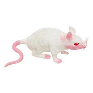 FETESETOCCASIONS-HALLOWEEN-INSECTESHALLOWEEN-RAT-BLANC