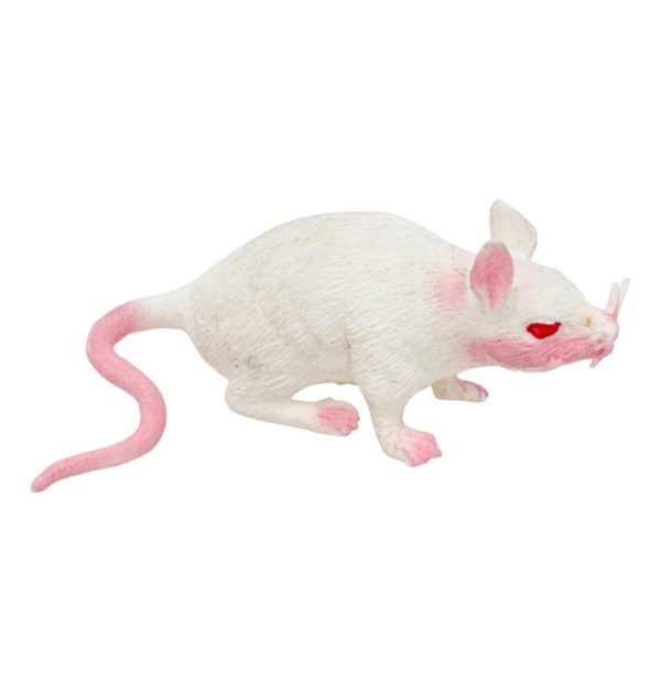 FETESETOCCASIONS-HALLOWEEN-INSECTESHALLOWEEN-RAT-BLANC