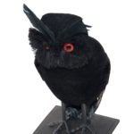 FETESETOCCASIONS-HALLOWEEN-DECODETABLE-CHOUETTE-NOIR-PLUMES