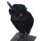 FETESETOCCASIONS-HALLOWEEN-DECODETABLE-CHOUETTE-NOIR-PLUMES