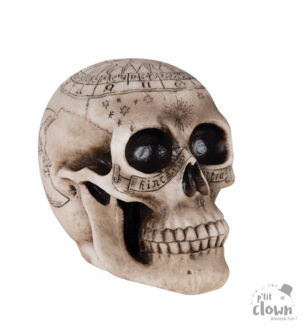 FETESETOCCASIONS-HALLOWEEN-DECODETABLE-CRANEDECORE