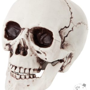 FETESETOCCASIONS-HALLOWEEN-DECODETABLE-CRANEENPLASTIQUE