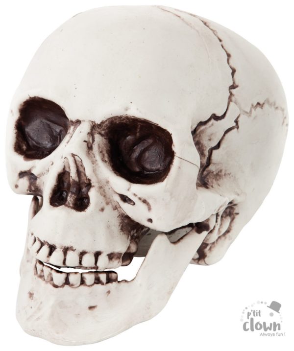 FETESETOCCASIONS-HALLOWEEN-DECODETABLE-CRANEENPLASTIQUE