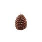 bougie-pomme-de-pin-enneigee-dia-5-4cm-x-7cm-ht