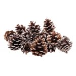 sachet-100g-pommes-de-pin-neige-4cm