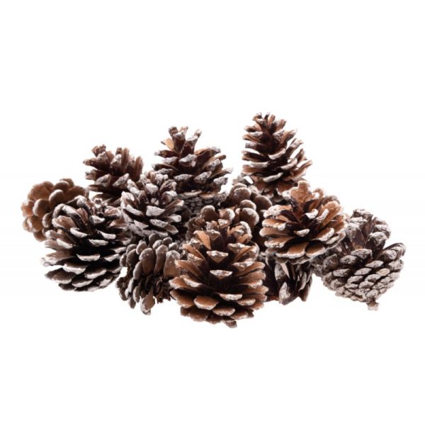 sachet-100g-pommes-de-pin-neige-4cm