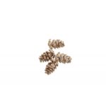 sachet-12-mini-pommes-de-pin-champagne-paillete-2-5cm