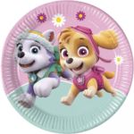 ANNIVERSAIREENFANTS-PATPATROUILLE-ROSE-ASSIETTES