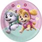 ANNIVERSAIREENFANTS-PATPATROUILLE-ROSE-ASSIETTES