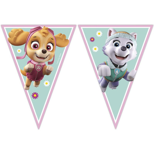 ANNIVERSAIREENFANTS-PATPATROUILLE-ROSE-FANIONS