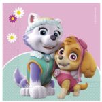 ANNIVERSAIREENFANTS-PATPATROUILLE-ROSE-SERVIETTES