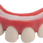 ACCESSOIRESDEFETES-DENTIER-DENTSECARTEES
