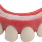 ACCESSOIRESDEFETES-DENTIER-DENTSECARTEES