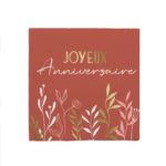 ANNIVERSAIREADULTE-TERRACOTTA-DECORATIONDETABLE-SERVIETTES