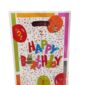 10SACSCADEAUX-MULTICOULEURS-BALLONS