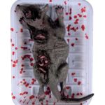 FETESETOCCASIONS-DECORATIONDETABLE-BARQUETTE-RAT