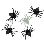 FETESETOCCASIONS-INSECTES-5ARAIGNEES-1PHSOPHO