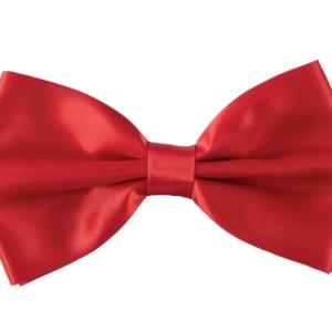 Noeud papillon rouge