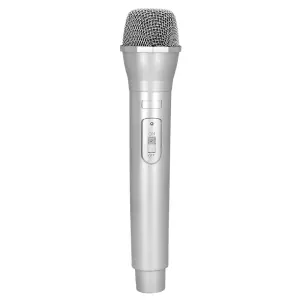 ACCESSOIRESDEFETES-ACCESSOIRESAUTRE-MICROPHONE-DELUXE-ARGENT