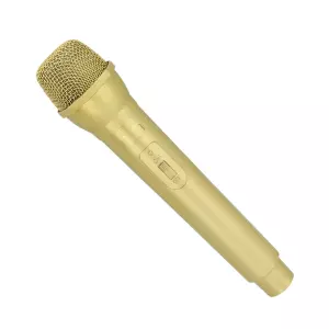 ACCESSOIRESDEFETES-ACCESSOIRESAUTRE-MICROPHONE-DELUXE-OR