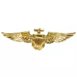 ACCESSOIRESDEFETES-ACCESSOIRESAVIATEUR-BROCHE-METAL-OR