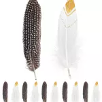 ACCESSOIRESDEFETES-ACCESSOIRESDINDIEN-12PLUMES-2COULEURS