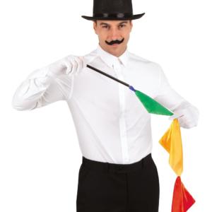DEGUISEMENT-ADULTE-SET-MAGICIEN